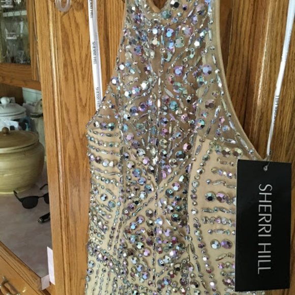 Sherri Hill 50248- Champagne/  Nude/ Iridescent - Picture 10 of 13